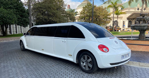 beetle-3