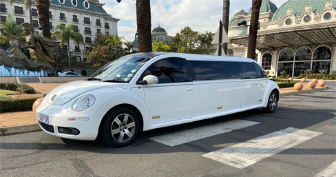 beetle1
